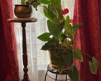 Vintage wooden pedestal table, vintage brass planter with lace leaf, wrought iron plant stand, hammered brass planter with lace leaf