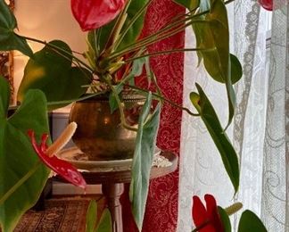 Vintage brass planter with lace leaf