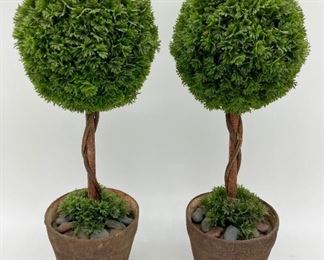 Table top topiaries