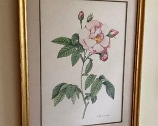 Botanical prints