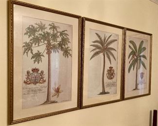 Framed botanical prints 