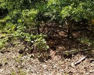 Corrugated rusted tin