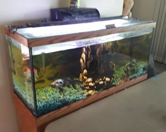 Aquarium  for fish