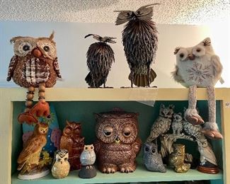 all kinds of owls