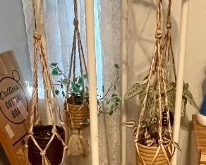 unique hanging plant holder