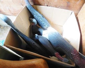 Turkey Decoys