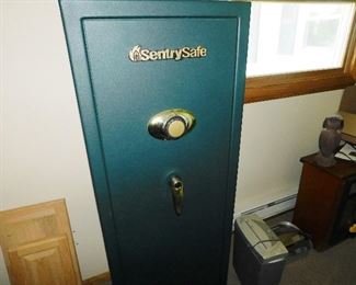 Gun Safe