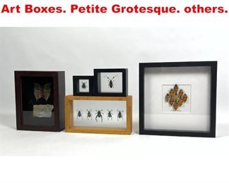 Lot 61 5pc Framed Bug Insect Wall Art Boxes. Petite Grotesque. others. 