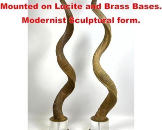 Lot 81 Pr Long Tall Natural Horns. Mounted on Lucite and Brass Bases. Modernist Sculptural form. 