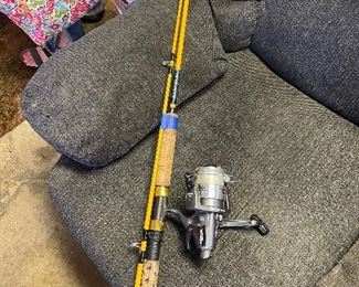 Eagle Claw pole and Tidewater Freeliner reel