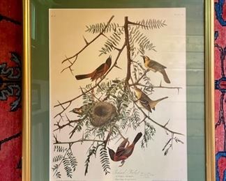 Close up of one of J.J. Audubon trio