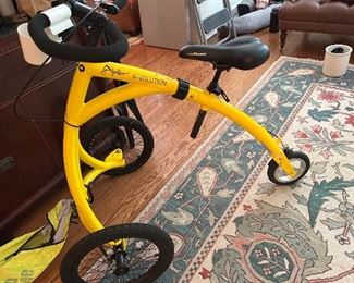 A-linker R evolution 