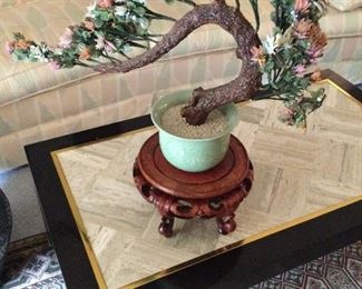 JADE LOOK, BONSAI TREE