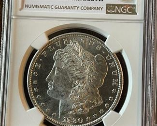 Morgan SILVER Dollars