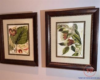 Beyond The Vine "Fantastical Botanical I & II"