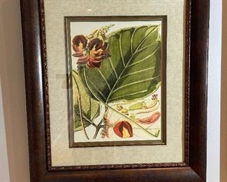 Beyond The Vine "Fantastical Botanical I & II"