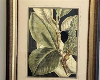 Beyond The Vine "Tranquil Tropical Leaves I & II"