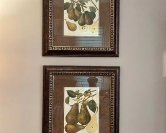 Framed Print "Pear Varieties III & IV"