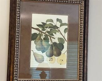 Framed Print "Pear Varieties III & IV"