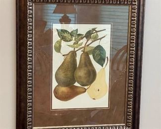 Framed Print "Pear Varieties III & IV"