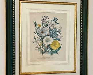 Botanical Print - 17.5" x 20.25"