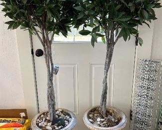 Lighted Faux Trees in Cement Urns