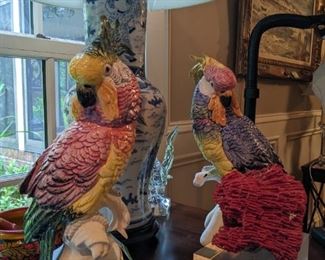 Polly wants YOU, cracker!