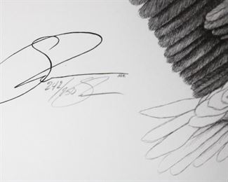 Signed, limited edition bald eagle wall art.