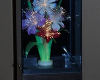 Cool fiber optics, lighted music box.