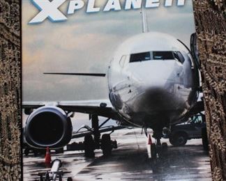 Flight simulation software.