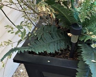 One of several black planters