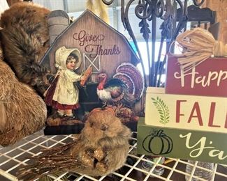 Fairy Garden selections