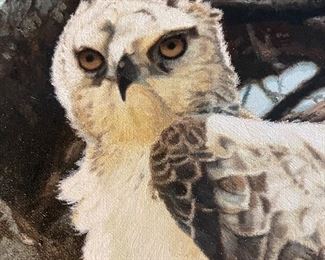25______available for silent bids
Original painting by Simon Combes (1940-2004) "Young Martial Eagle" Canvas 90's  - 38x29 