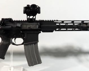 Palmetto State Armory PA-15 .223 Wylde / 5.56 Rifle SN# SCD098290, 2 Total Mags, Red Dot Sight, Flip Up Sights, Adjustable Stock