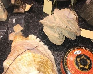 Items Located In The Family Room