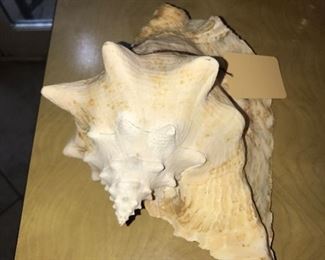 Items Located In The Family Room