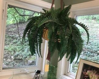 Items Located In The Kitchen