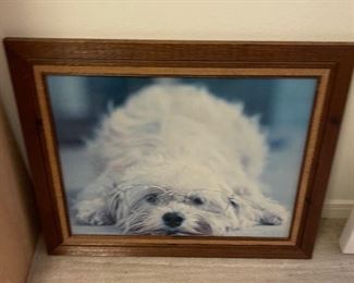 Dog Framed Picture