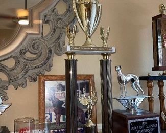 Championship Trophies Greyhound Plus Picture, Glasses, Books