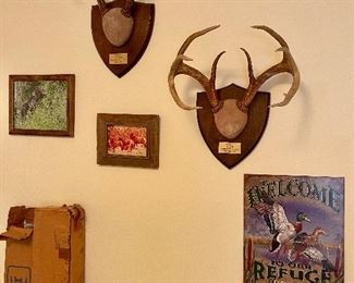 Mounted Deer Antlers
