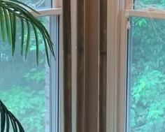 Torchiere Floor Lamp with Claw Feet