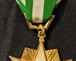 Vietnam War Medal