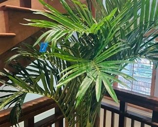 $50 
Artificial Palms with NO planter