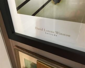 Framed picture “Solitude” by David Lorenz Winston