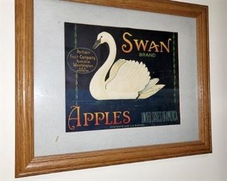 Swan art