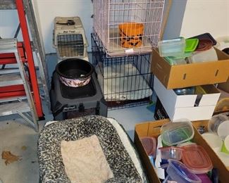 Dog crates and beds