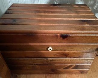 Locking Storage Trunk