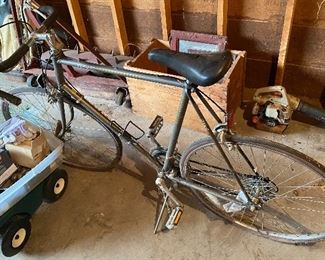 Sprint 10 Speed Bicycle