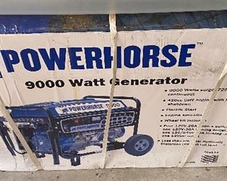 Powerhorse 9000 Watt Generator