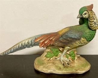 Lady Amherst Pheasant by Andrea